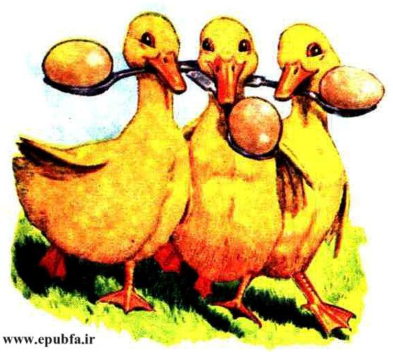 مسابقه‌ی قاشق و تخم‌مرغ را سه تا بچه‌های «والتر» اردک بردند. 