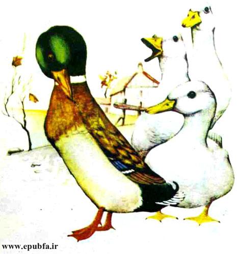 سه بچه اردک زرد روز بروز بزرگ‌تر می‌شدند و رنگشان سفید می‌شد