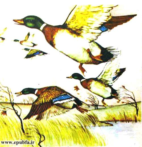 در یکی از روزهای زمستان یک دسته پرنده‌ی رنگارنگ در آسمان ظاهر شدند