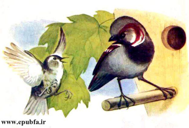 یک روز وقتی «ژانو» داشت برای ژانت غذا می‌آورد دید که گنجشکی به نام «پیرو» کنار لانه ایستاده است.