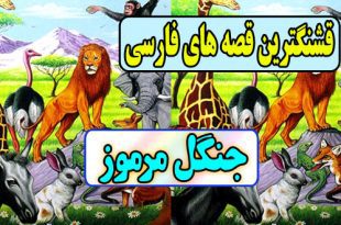 قشنگترین-قصه-های-فارسی-برای-کودکان-جنگل-مرموز