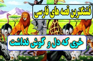  قصه های قشنگ: خری که دل و گوش نداشت / عاقل از یک سوراخ دوبار گزیده نمی شود 4