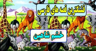  قصه های قشنگ: خشم شاهین / پایان تلخ انتقام 1