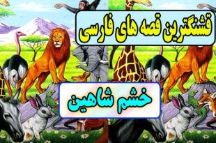  قصه های قشنگ: خشم شاهین / پایان تلخ انتقام 2