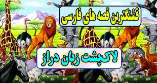  قصه های قشنگ فارسی: لاک‌پشت زبان‌دراز / عاقبت بدقولی لاک پشت به مرغابی ها 2