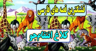 قشنگترین-قصه-های-فارسی-برای-کودکان-کلاغ-انتقام‌جو