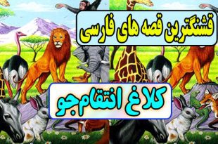 قشنگترین-قصه-های-فارسی-برای-کودکان-کلاغ-انتقام‌جو