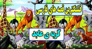 قصه های قشنگ: گربه‌ی عابد / ریاکاری عاقبت خوشی ندارد 3