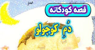 قصه-کودکانه-چینی-دم-کوچولو