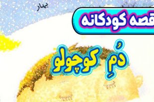 قصه-کودکانه-چینی-دم-کوچولو