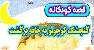 قصه-کودکانه-چینی-گنجشک-کوچولو-به-خانه-برگشت