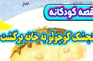 قصه-کودکانه-چینی-گنجشک-کوچولو-به-خانه-برگشت