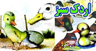کتاب داستان کودکانه قدیمی: اردک سبز / جوجه اردک زشت 1