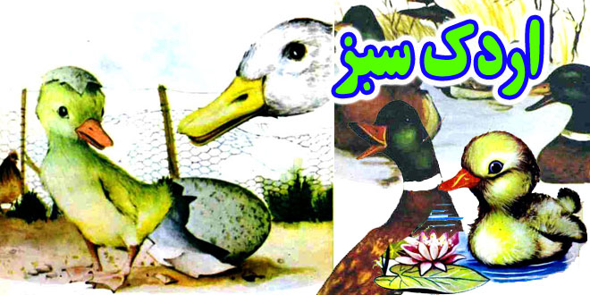 کتاب داستان کودکانه قدیمی: اردک سبز / جوجه اردک زشت 1