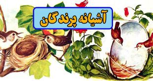 کتاب قصه کودکانه قدیمی آشیانه پرندگان