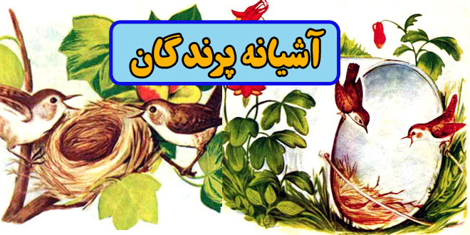 کتاب قصه کودکانه قدیمی آشیانه پرندگان