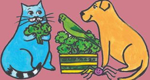 قصه کودکانه گربه‌ی باغبون – موشیما