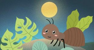 داستان کودکانه مورچه‌ی مسافر – موشیما
