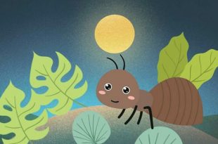 داستان کودکانه مورچه‌ی مسافر – موشیما