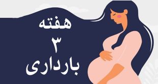 هفتم-سوم-بارداری-وضعیت-مادر-و-جنین