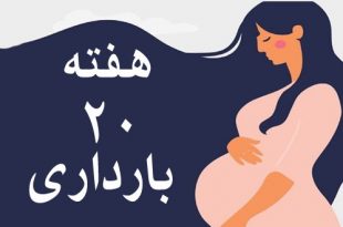 هفته-بیستم-بارداری