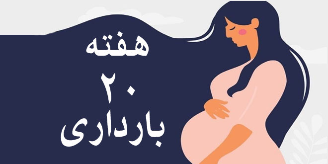 هفته-بیستم-بارداری