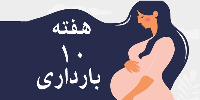 هفته-دهم-بارداری