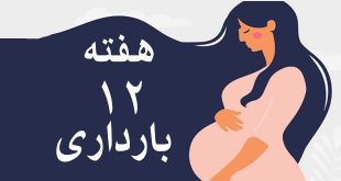 هفته-دوازدهم-بارداری