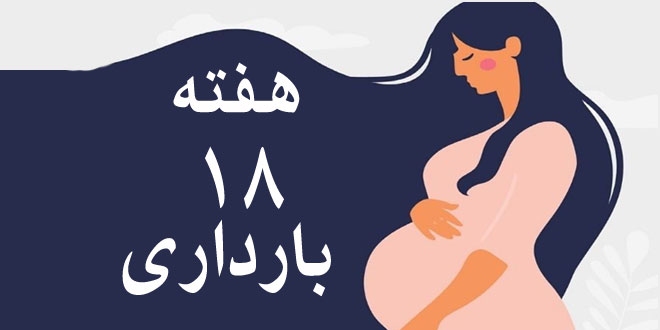 هفته-هجدهم-بارداری