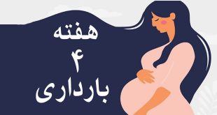 هفته-چهارم-بارداری-وضعیت-مادر-و-جنین