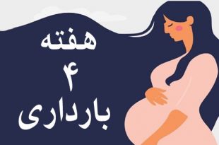 هفته-چهارم-بارداری-وضعیت-مادر-و-جنین