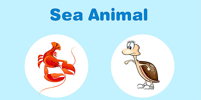 پوستر-آموزشی-حیوانات-دریایی