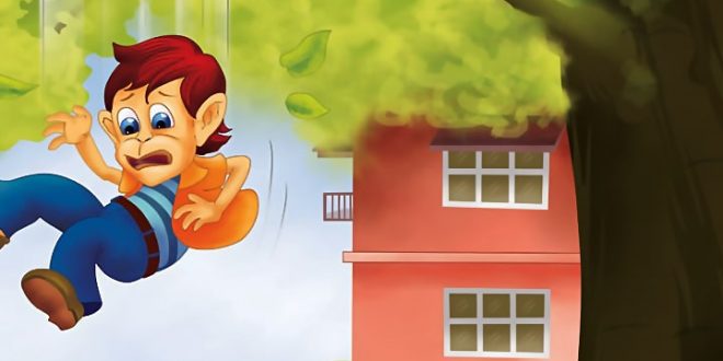 قصه کودکانه میمون شیطون – موشیما