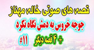  قصه-صوتی-کودکانه-جوجه-خروس-به-دمش-نگاه-نکرد-و-4-قصه-صوتی-دیگه