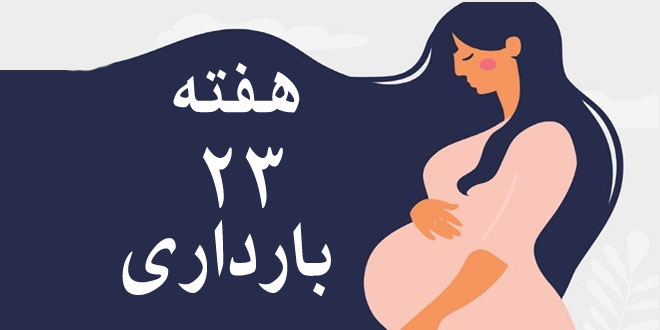 هفته-بیست-و-سوم-بارداری