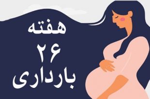 هفته-بیست-و-ششم-بارداری