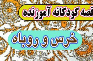 قصه کودکانه آموزنده: خرس و روباه / مکر و حیله‌گری عاقبت خوشی ندارد 8