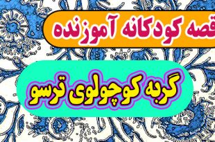 قصه کودکانه آموزنده: گربه کوچولوی ترسو / با کی دوست بشیم؟ از کی بترسیم؟ 1