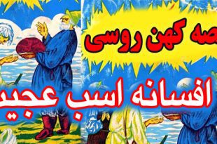 قصه کهن روسی: افسانه اسب عجیب «سیفکا - بورکا» / پایان خوش پسرک پاک و ساده دل #9 2