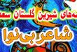 حکایات-و-قصه-های-گلستان-سعدی-شاعر-بی‌نوا