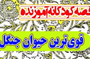 قصه-کودکانه-اموزنده-قوی‌ترین-حیوان-جنگل