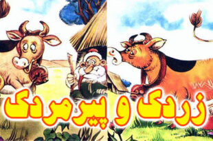 داستان کودکانه زردک و پیرمردک (18)
