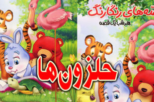 قصه کودکانه: حلزون‌ها / قبل از این‌که بدوید، ببینید اصلاً می‌توانید راه بروید؟ 3
