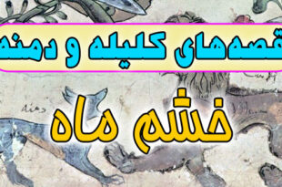 قصه-های-کلیله-و-دمنه--خشم-ماه-فیل-و-خرگوش
