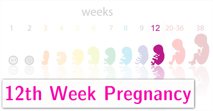 موارد ممنوعه در هفته دوازدهم بارداری