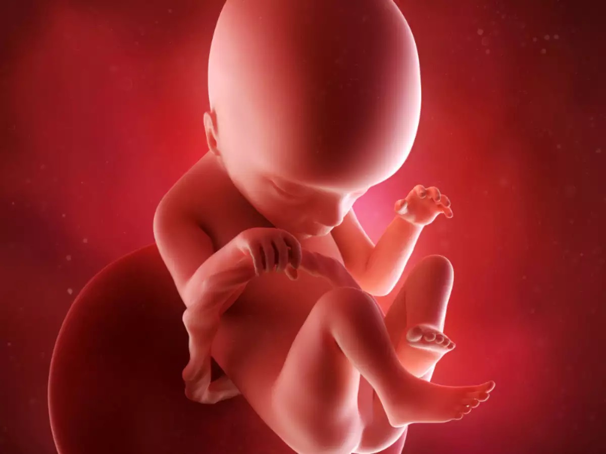 وضعیت جنین در هفته هجدهم بارداری
