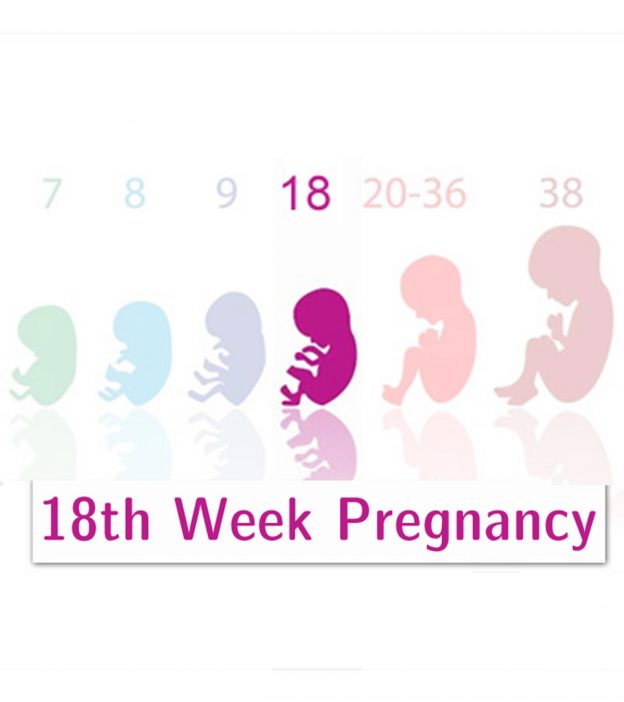 موارد ممنوعه در هفته هجدهم بارداری