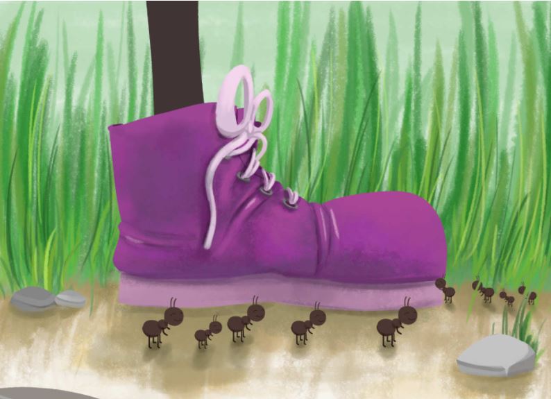 the-caterpillar-who-loved-shoes-story-15